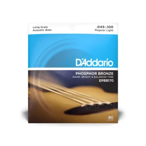 D'Addario EPBB170 Phosphor Bronze Acoustic Guitar Strings