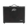 Peavey X1 Guitar Modeling Amp